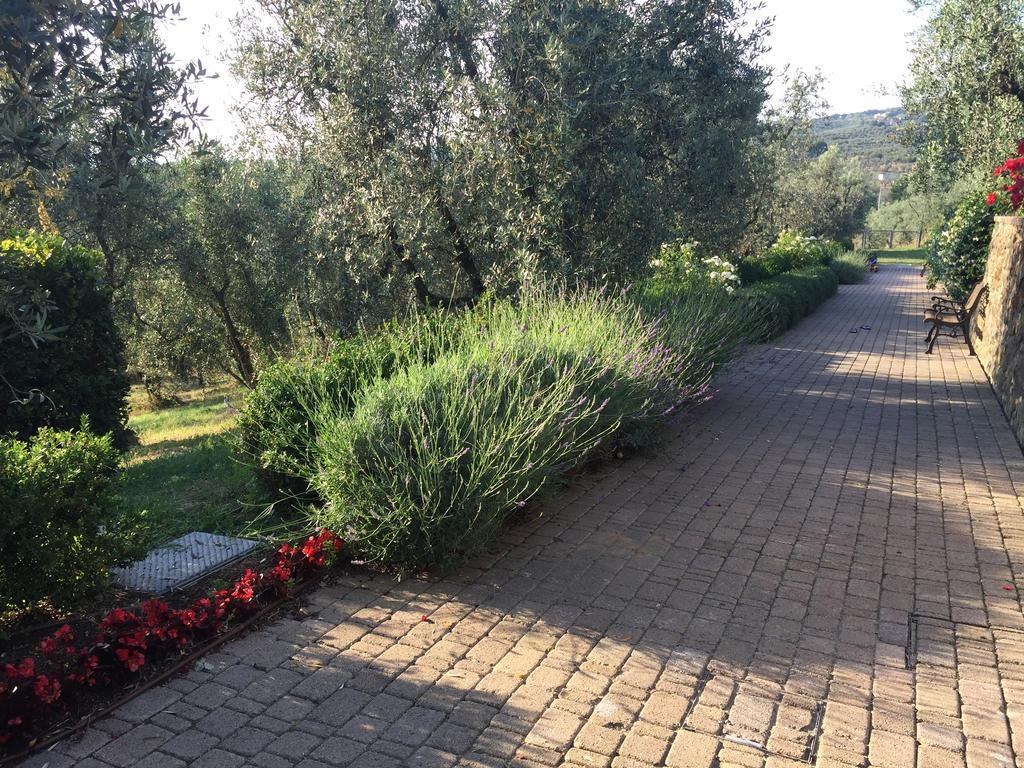 Podere Jana Antico Frantoio Vinci Exteriör bild