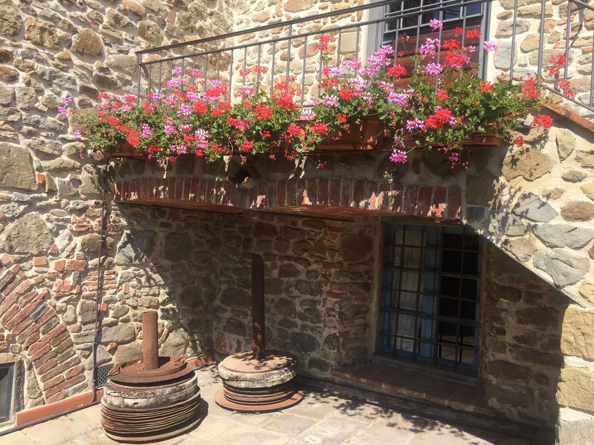 Podere Jana Antico Frantoio Vinci Exteriör bild